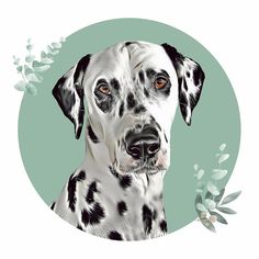 a black and white dalmatian dog with leaves around it