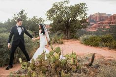 a newly married couple walking through the desert