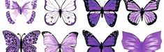 a group of purple butterflies on a white background