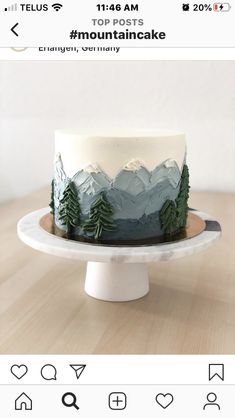 a cake with mountains and trees on top is shown in the instagramr box