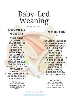 baby - led weaning food ideas list