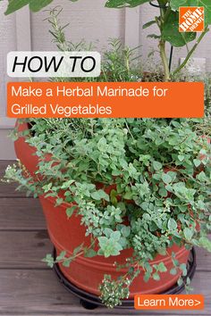 a potted plant with the title how to make a herb marinade for grilled vegetables