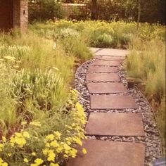 a stone path in the middle of a garden with yellow flowers and grass on either side