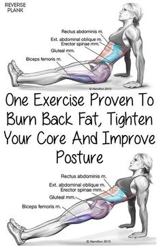 Burn Back Fat, Yoga Exercises, Trening Abs, An Exercise, Vinyasa Yoga