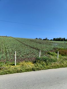 an empty road in the middle of a field