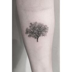 a small tree tattoo on the right inner forearm and lower arm is shown in black ink