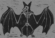 a black and white drawing of a bat with skeleton bones on it's back