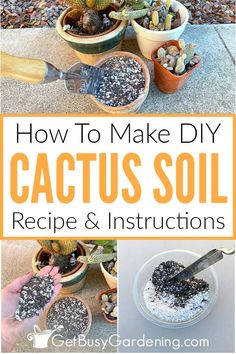 how to make diy cactus soil recipe and instructions