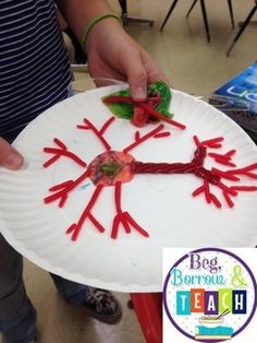 a paper plate that has some red sticks on it and is decorated like a snowflake