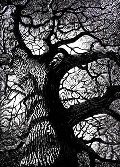 a black and white drawing of a tree