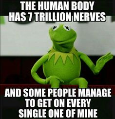 kermik the frog sitting on top of a desk with text that reads, the human body has 7 trillion neves and some people manage to get on every single one of mine