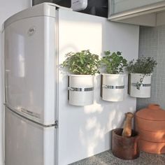 a white refrigerator freezer sitting next to a potted plant on top of a counter