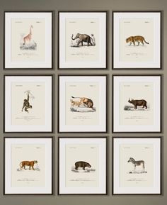 six different types of wild animals are shown in this set of nine framed art prints