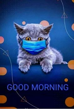 a gray cat wearing a blue mask with the words good morning on it's face