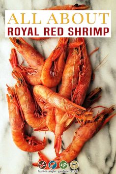 the cover of all about royal red shrimp