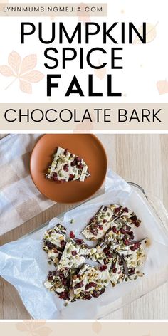 Pumpkin Spice Fall Chocolate Bark | Lynn Mumbing Mejia Dessert Ideas Chocolate, Spiced Desserts, Chocolate Dessert Ideas, Spice Ideas, Fall Recipes Dessert, Desert Easy, Spice Desserts, Quick Fall Recipes, Spice Bars