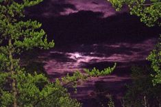 the night sky is full of clouds and trees