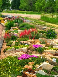 the garden is full of flowers and rocks