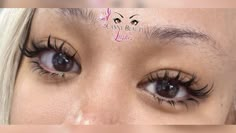 Fairy Lashes, Arcadia California, Anime Lashes, Brown Skin Makeup