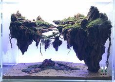 an aquarium with moss growing on the rocks and water in it's bottom half