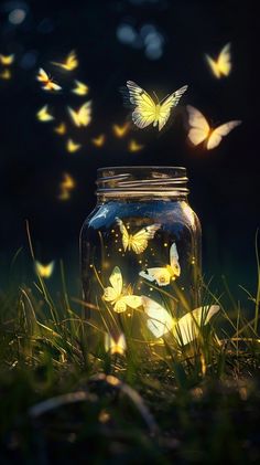 a jar filled with butterflies floating in the air next to grass and sunlight shining down on it