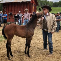 a man standing next to a brown horse on top of a dirt field with other people