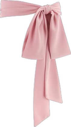 Pink Elegant Sash For Formal Occasions, Elegant Formal Belted Sashes, Elegant Belted Sashes For Party, Elegant Belted Sashes For Formal Occasions, Wedding Belt, Dress Sash, Belt Dress, Wedding Belts, Branded Belts