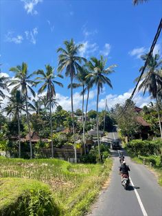 two motorcyclists are riding down the road in front of some palm trees