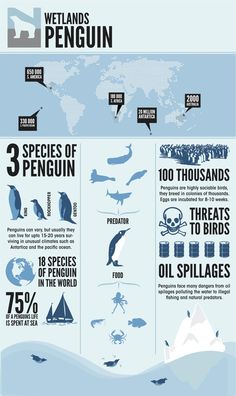 the world's most dangerous animals info sheet