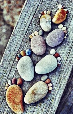 some rocks are arranged in the shape of a dog's paw on a wooden surface