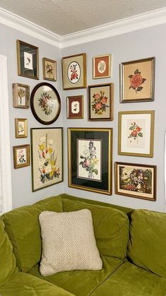 a green couch sitting in front of a wall covered with pictures and framed flowers on it