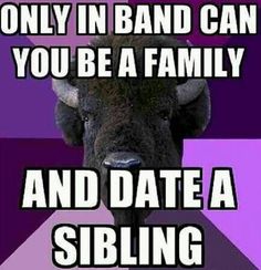 an image of a cow with the caption only in band can you be a family and date a sibling