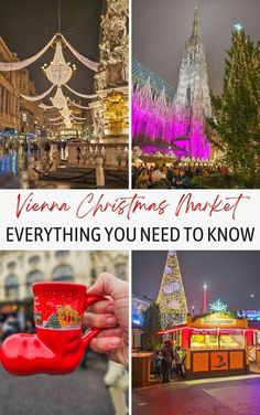 christmas markets in vienna, germany with text overlay that reads vegan christmas market everything you need to know