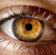 an extreme close up shot of the iris of a person's eye with yellow and brown colors