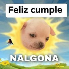 Sol de los Teletubies con un perro q dice feliz cumple. Nalgona Louis Patridge, Spanish Memes, Birthday Meme, Make Your Own Stickers, Funny Reaction Pictures, Cartoon Jokes, Cartoon Profile Pics, Meme Faces, Birthday Humor