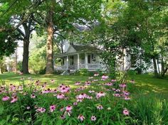 pink flowers in front of a white house surrounded by trees and grass on a sunny day