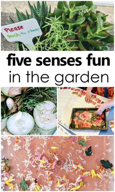 four photos with text that reads five sense fun in the garden, and an image of plants