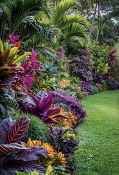 Tropical Yards Landscape, Small Tropical Backyard Ideas, Large Plants Outdoor, Garden Design Tips, Tropical Gardens Ideas, Subtropical Landscaping, Tropical Oasis Backyard, Small Tropical Garden Design, Tropical Garden Design Landscaping