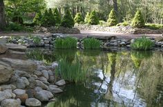 a pond surrounded by rocks and grass