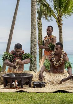 three men dressed in hula attire are sitting on the grass near palm trees and water