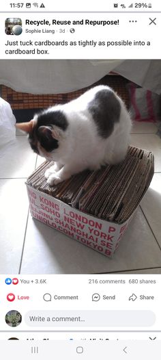 a black and white cat sitting on top of a cardboard box