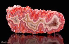 a piece of red and white agatete on black background with reflection in the foreground