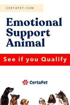 an advertisement for the national support animal, see if you quality