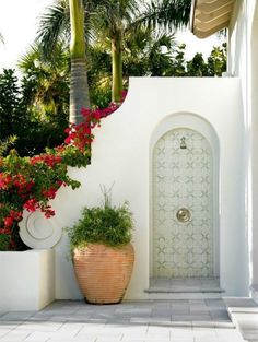 an instagram photo with a door and potted plants