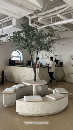 two people are standing in front of a coffee shop with a tree on the counter