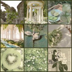 the collage shows many different things in green and white colors, including flowers, trees,