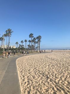 people are walking on the beach near palm trees and blue sky with no one in sight