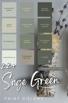 22+ Sage Green paint colors with thumbnails from 12 of the colors over a background of a sage flower bundle Sage Green Living Room, Sage Green Paint, Green Paint Colors, Inspire Me Home Decor, Living Room Green, Green Rooms, Bedroom Paint