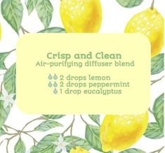 Air Purifying Diffuser Blend, Lemon Essential Oil, Essential Oils Cleaning