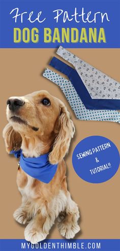 dog bandana pattern Scarf For Dogs Diy, Doggie Bandanna Pattern, Template For Dog Bandana, Dog Collar Scarf Free Pattern, How To Make Dog Collar Bandanas, Diy Doggie Bandana, Easy Sew Dog Bandana, Dog Scarf Pattern Sewing, Dog Bandana Diy Pattern